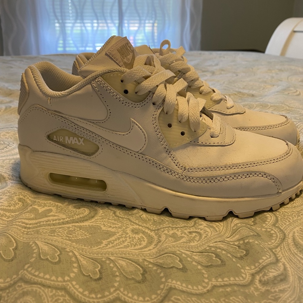 Nike Air Max Sneakers